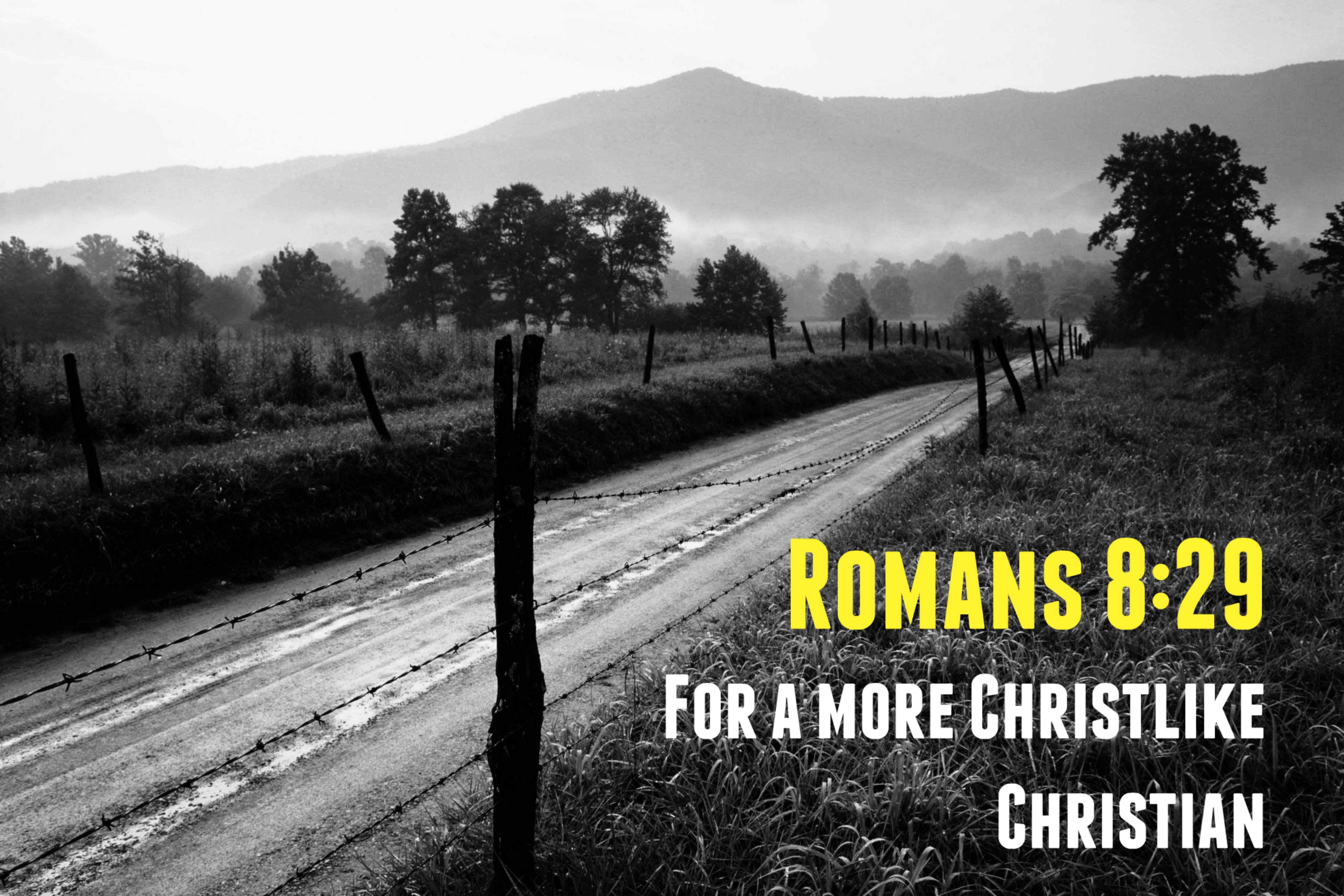 Romans 8:29 Ministries